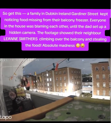Hidden camera reveals neighbour behind food theft that left a family in confusion in Ireland